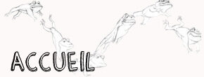Accueil